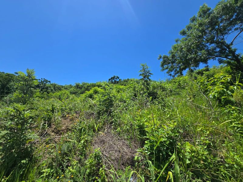 Plot & Plan Development Opportunity in Belgate, Tongaat - Photo 2