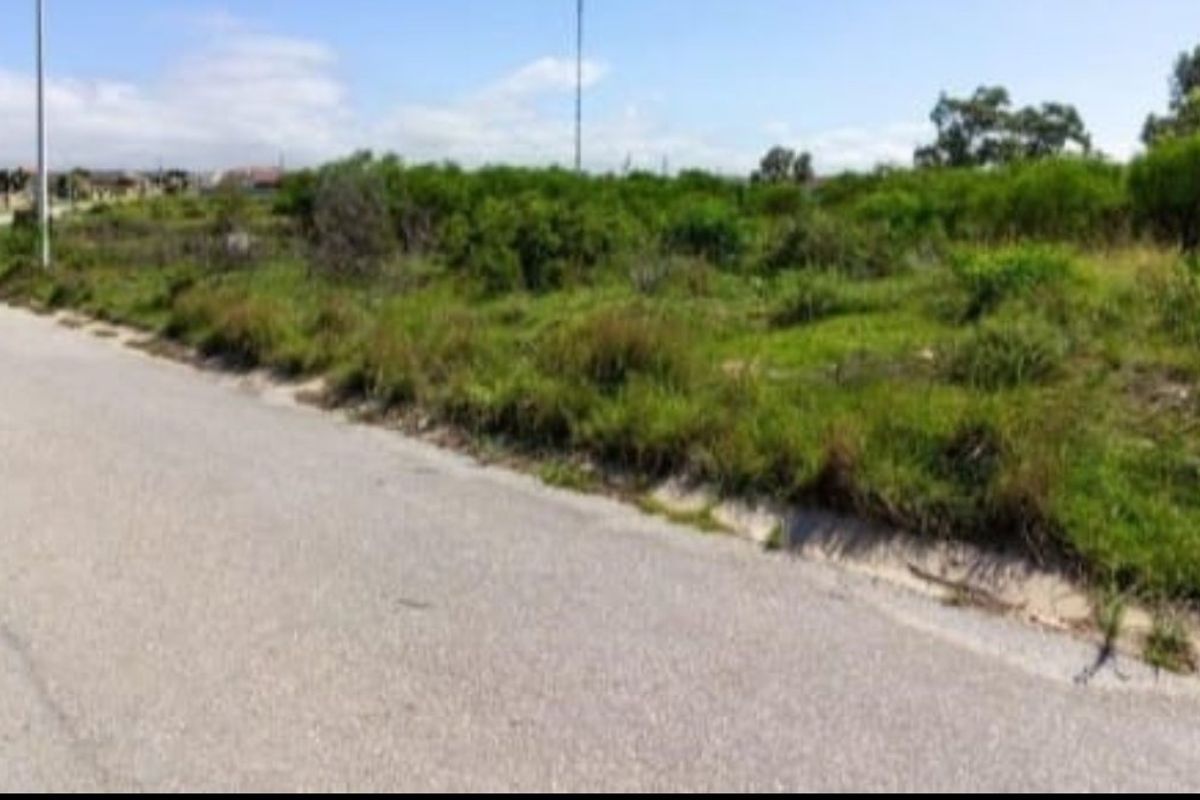 A street-level view of a vacant residential plot featuring natural vegetation and adjacent asphalt road access.