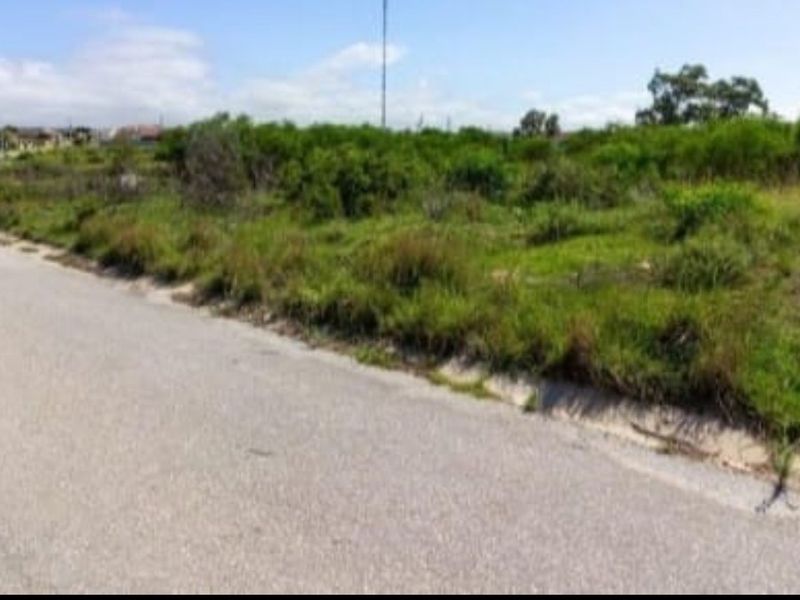 A street-level view of a vacant residential plot featuring natural vegetation and adjacent asphalt road access.