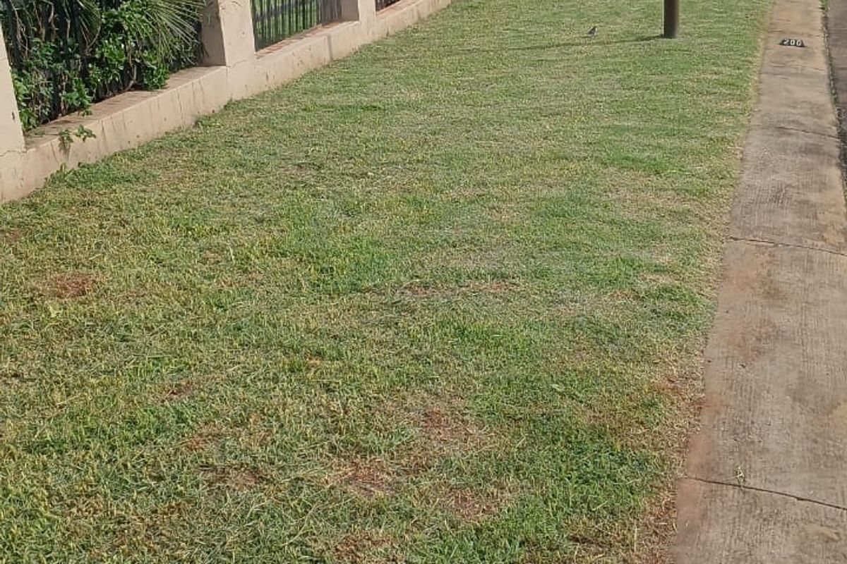 0 Bed Vacant Land in Monavoni for Sale - Photo 5