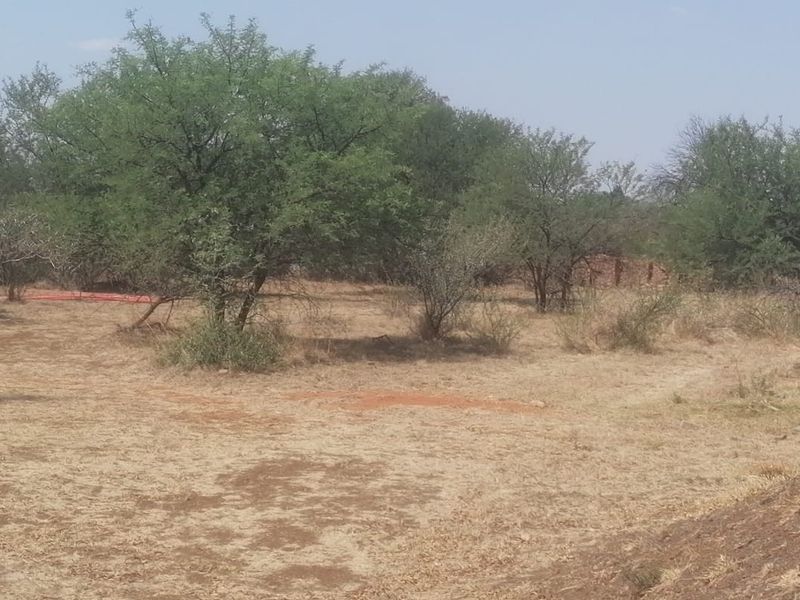 1305m3 Vacant Land in La Camargue - Photo 10