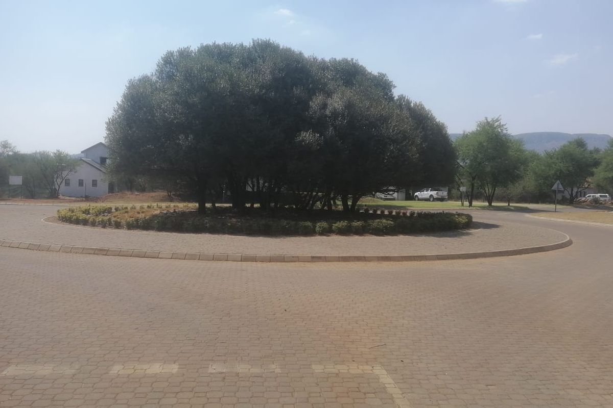 1305m3 Vacant Land in La Camargue - Photo 3