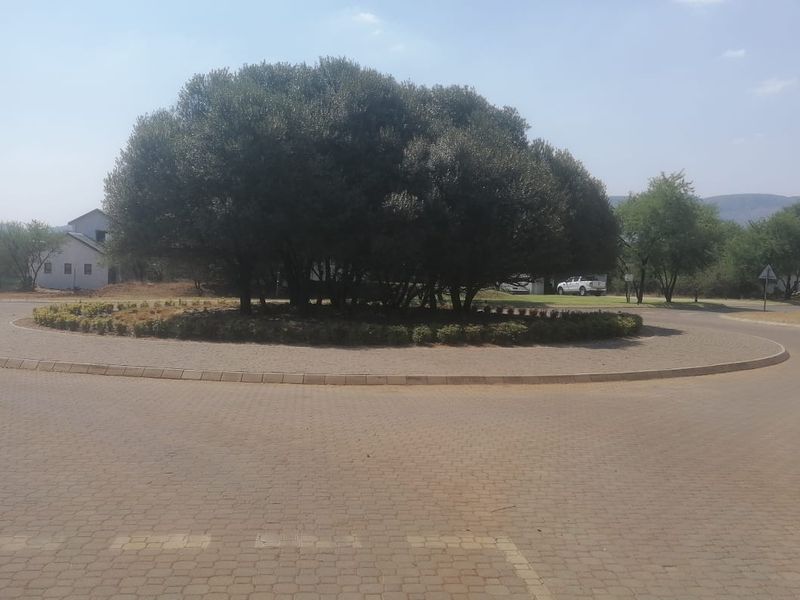 1305m3 Vacant Land in La Camargue - Photo 3