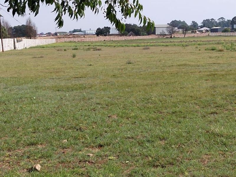 Charming Small Holding with Spacious Living - Photo 3