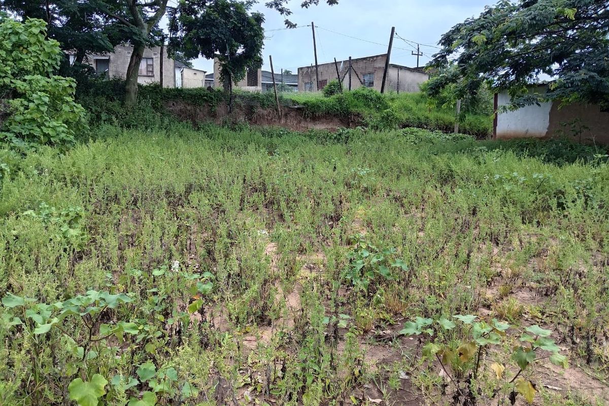 0 Bed Vacant Land in Mzingazi for Sale - Photo 4