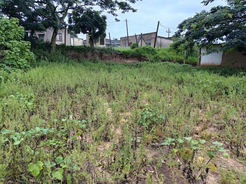 0 Bed Vacant Land in Mzingazi for Sale - Photo 4