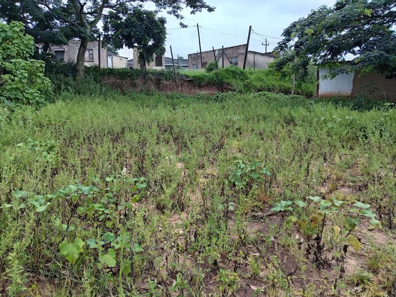 0 Bed Vacant Land in Mzingazi for Sale - Photo 6
