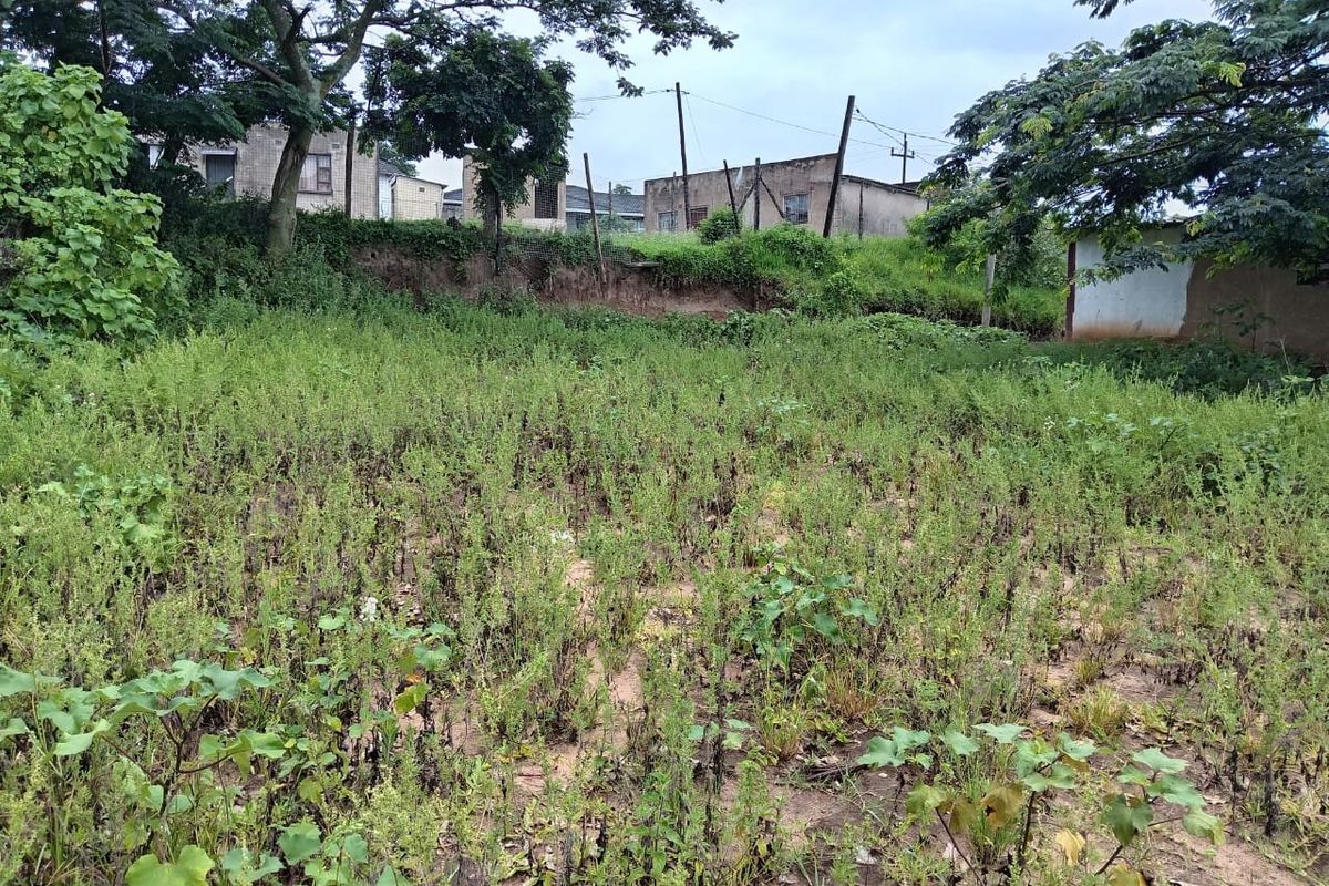 0 Bed Vacant Land in Mzingazi for Sale - Photo 5