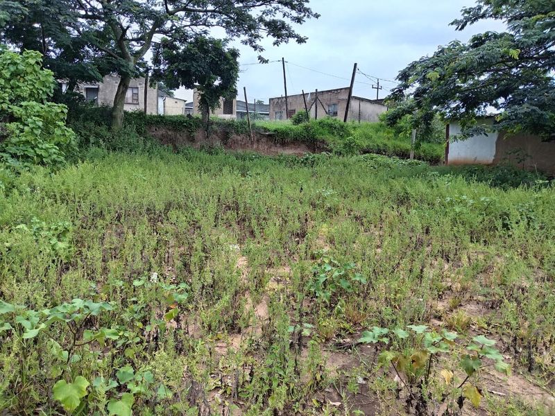 0 Bed Vacant Land in Mzingazi for Sale - Photo 5