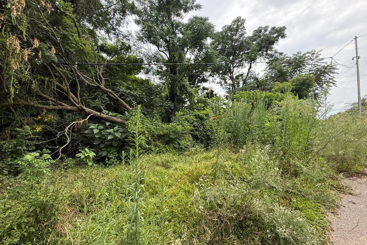 Vacant Stand for Sale Schoemansville - Photo 5