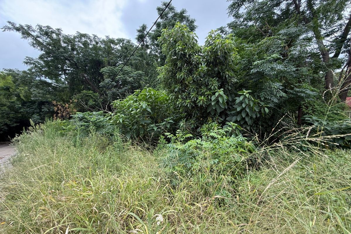 Vacant Stand for Sale Schoemansville - Photo 2