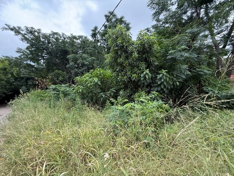 Vacant Stand for Sale Schoemansville - Photo 2