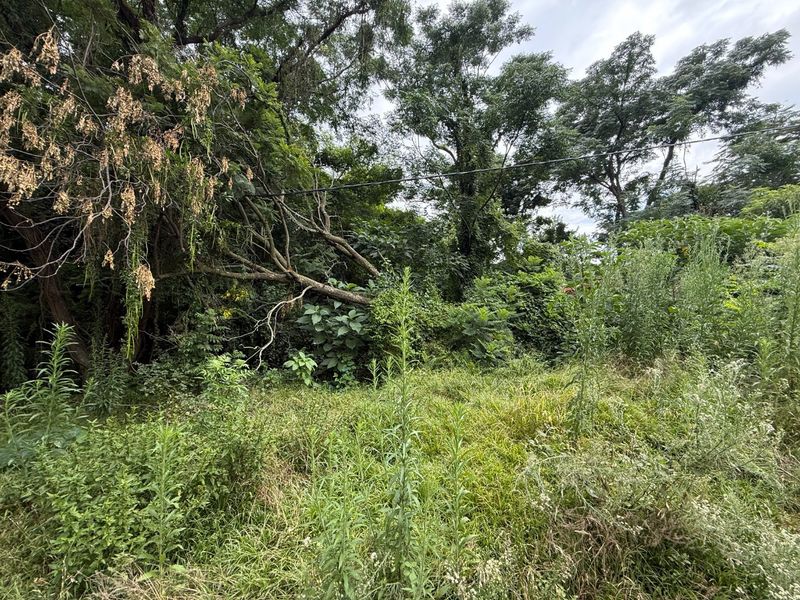 Vacant Stand for Sale Schoemansville - Photo 6