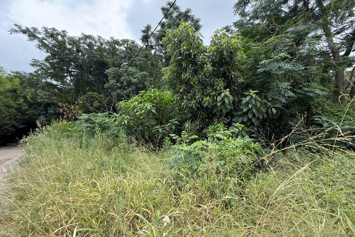 Vacant Stand for Sale Schoemansville - Photo 3