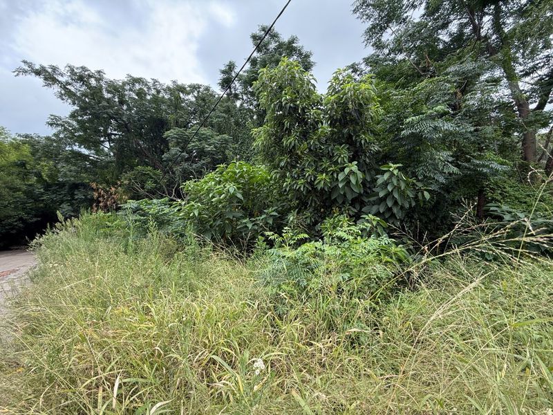 Vacant Stand for Sale Schoemansville - Photo 3