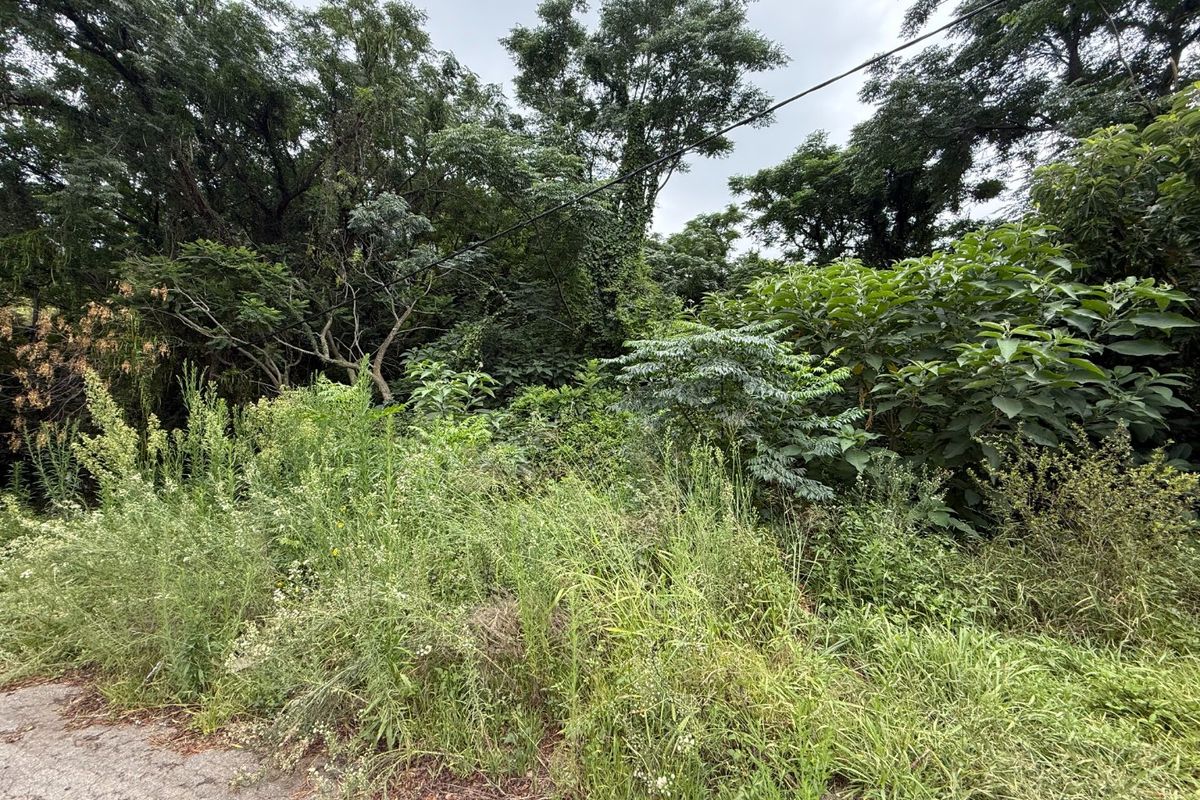 Vacant Stand for Sale Schoemansville - Photo 4