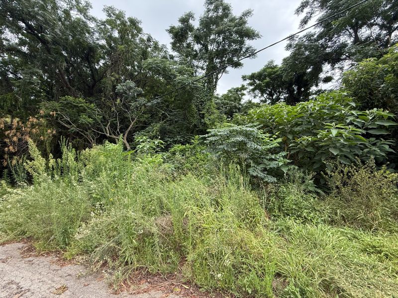 Vacant Stand for Sale Schoemansville - Photo 4