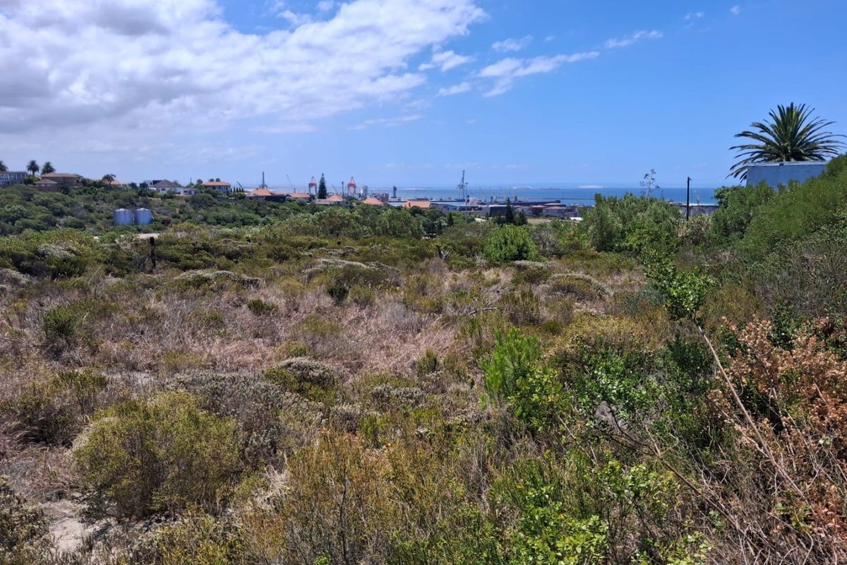 HUMEWOOD | DRIFTSANDS ROAD | RARE HILLTOP PLOT - Photo 3