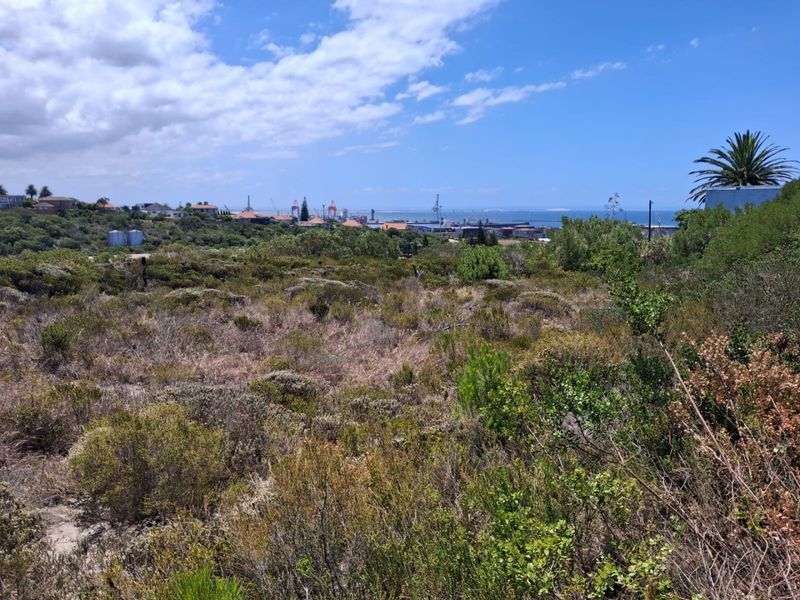 HUMEWOOD | DRIFTSANDS ROAD | RARE HILLTOP PLOT - Photo 3