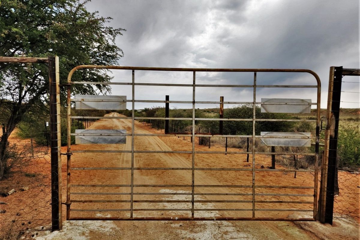 Exceptional 12,001 ha Kalahari Livestock Farm - Photo 4