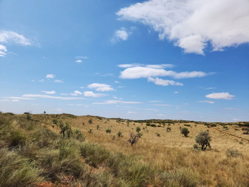 Exceptional 12,001 ha Kalahari Livestock Farm - Photo 10