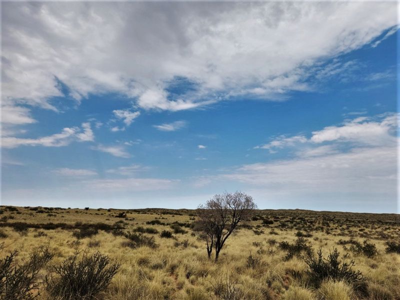 Exceptional 12,001 ha Kalahari Livestock Farm - Photo 8