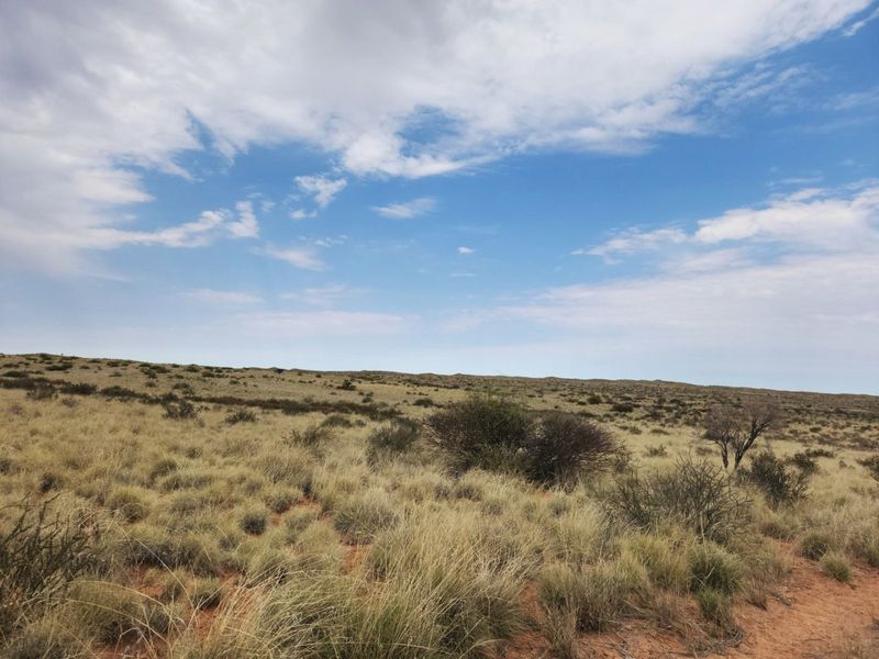 Exceptional 12,001 ha Kalahari Livestock Farm - Photo 7