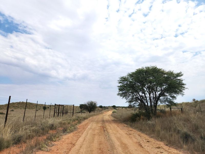 Exceptional 12,001 ha Kalahari Livestock Farm - Photo 6