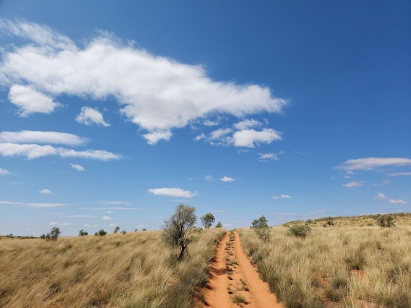 Exceptional 12,001 ha Kalahari Livestock Farm - Photo 2
