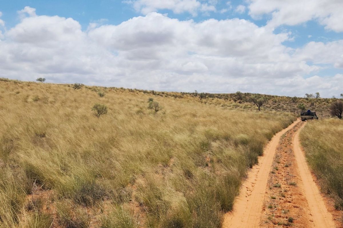 Exceptional 12,001 ha Kalahari Livestock Farm - Photo 3