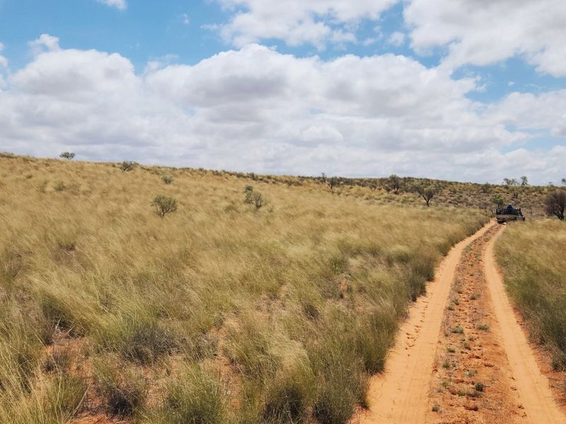 Exceptional 12,001 ha Kalahari Livestock Farm - Photo 3
