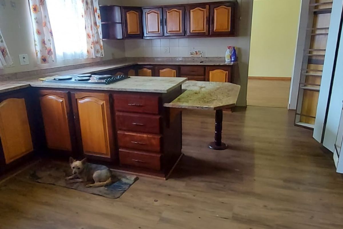 A functional kitchen featuring timber cabinetry, laminate countertops, a built-in hob, and a distinctive timber-clad ceiling with laminate flooring throughout.