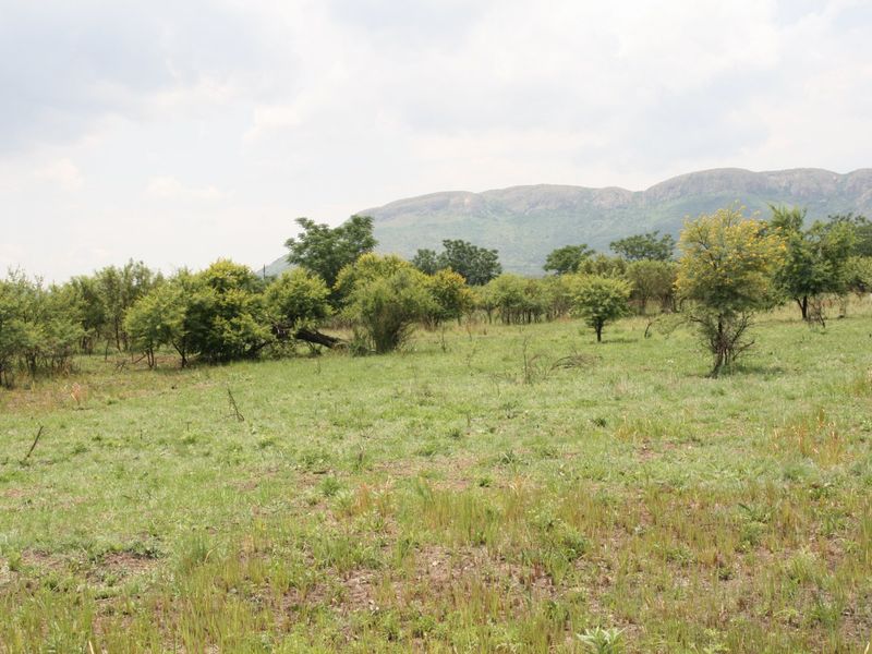 Secure Vacant Land in La Camargue Estate Hartbeespoort - Photo 5
