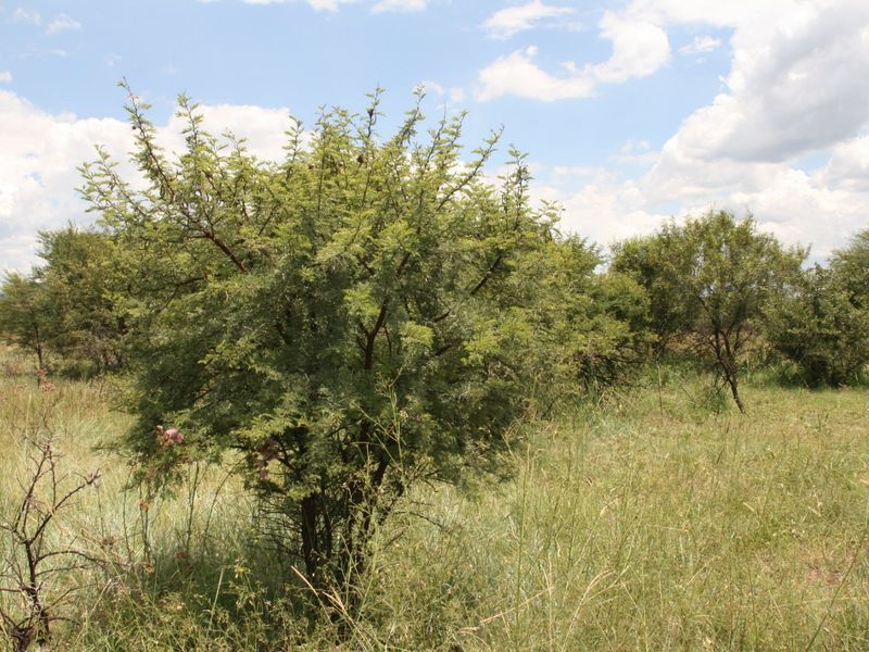 Secure Vacant Land in La Camargue Estate Hartbeespoort - Photo 7