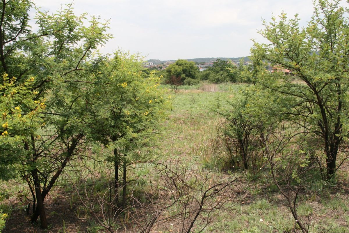 Secure Vacant Land in La Camargue Estate Hartbeespoort - Photo 3