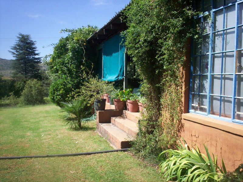 22 hectare farm with River Frontage in the Crocodile River Reserve - Photo 8