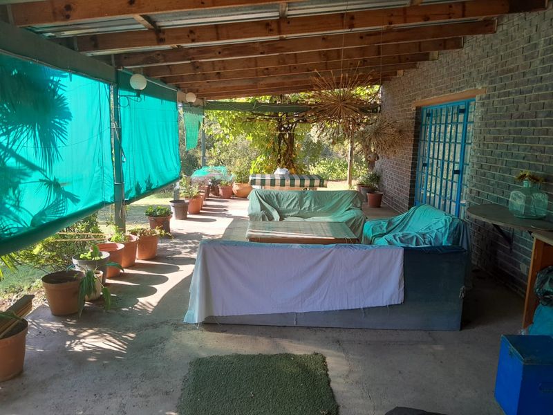 22 hectare farm with River Frontage in the Crocodile River Reserve - Photo 6