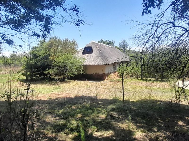 A view of a rustic cottage with a traditional thatch roof and stone base, situated within a natural, overgrown farm landscape.