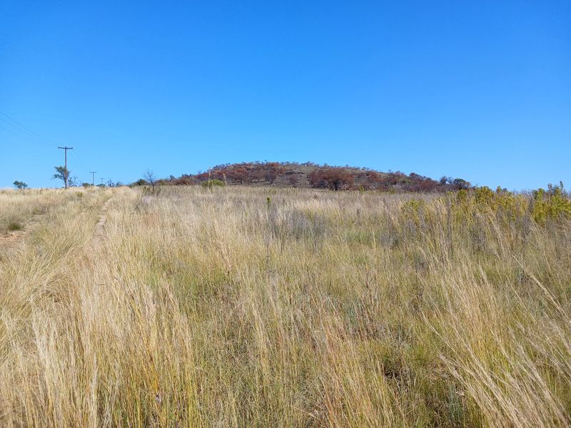 A wide-angle view of the expansive farm landscape featuring natural grassland and a distant hill under a clear blue sky.