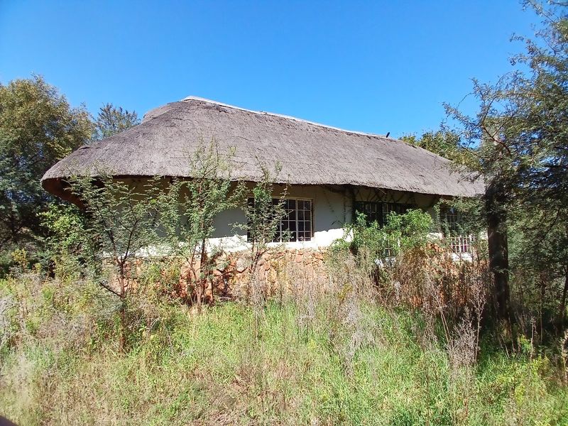 A rustic farm-style cottage featuring a traditional thatch roof, stone base cladding, and grid-pattern windows, set within an overgrown natural landscape.