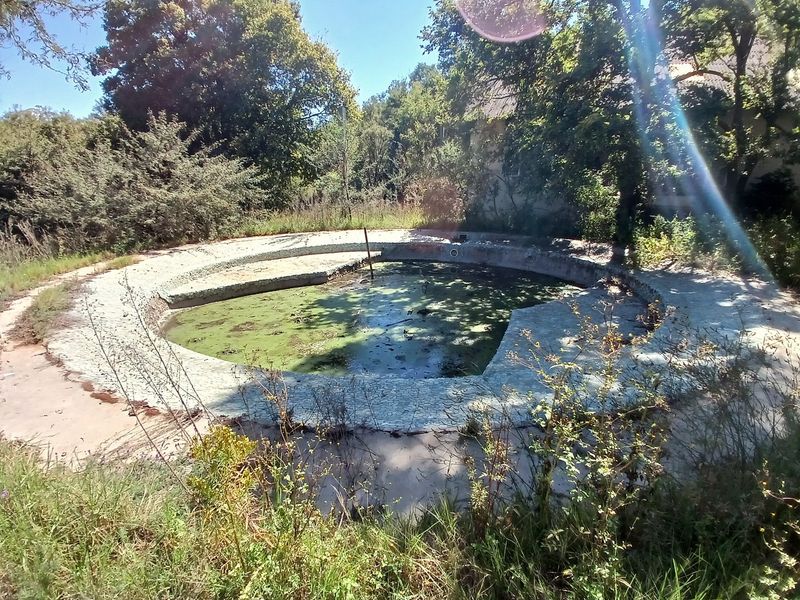 An abandoned, circular swimming pool in a state of severe disrepair, surrounded by overgrown vegetation and requiring significant restoration.
