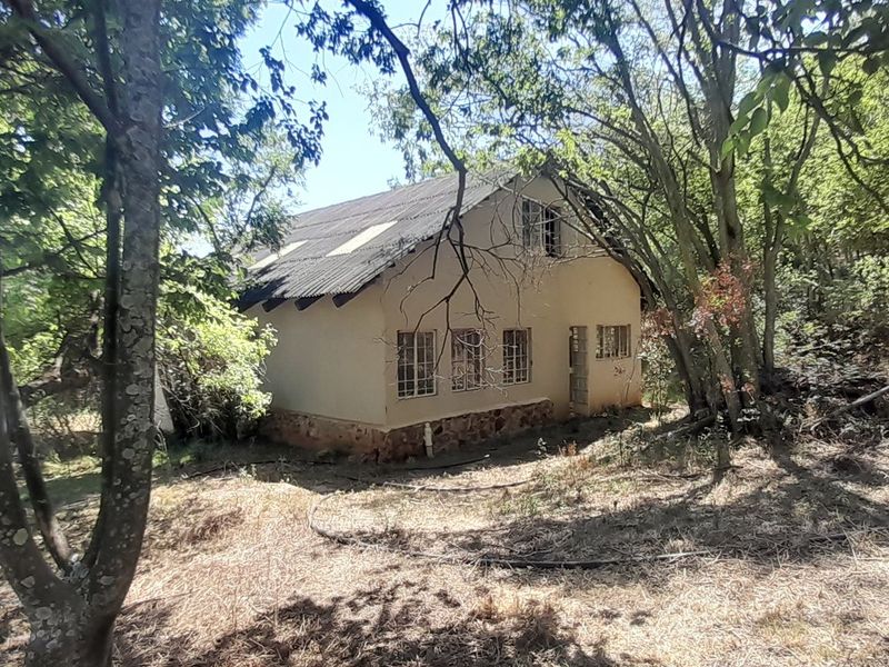 A view of the rear exterior of a farm dwelling featuring a stone foundation and pitched roof, surrounded by mature trees and overgrown grounds.