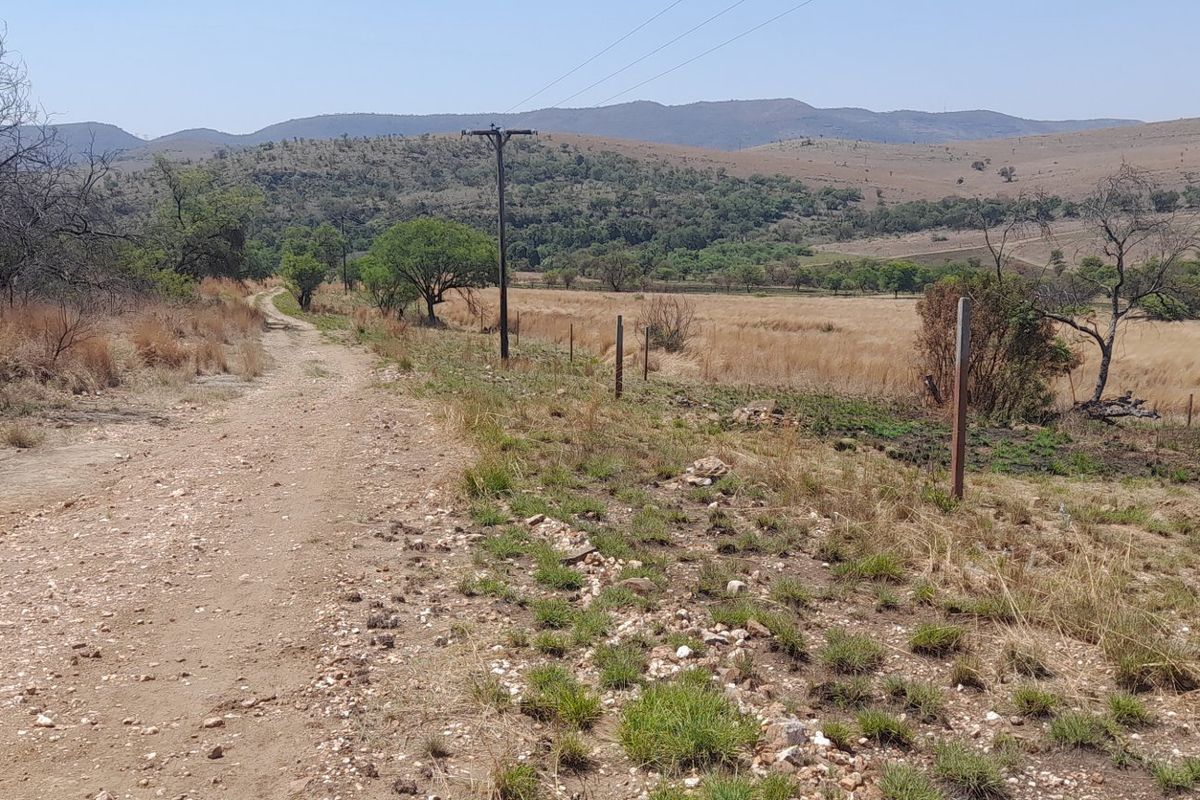 A scenic view of the farm landscape featuring a dirt access road, open grazing fields, and distant rolling hills.