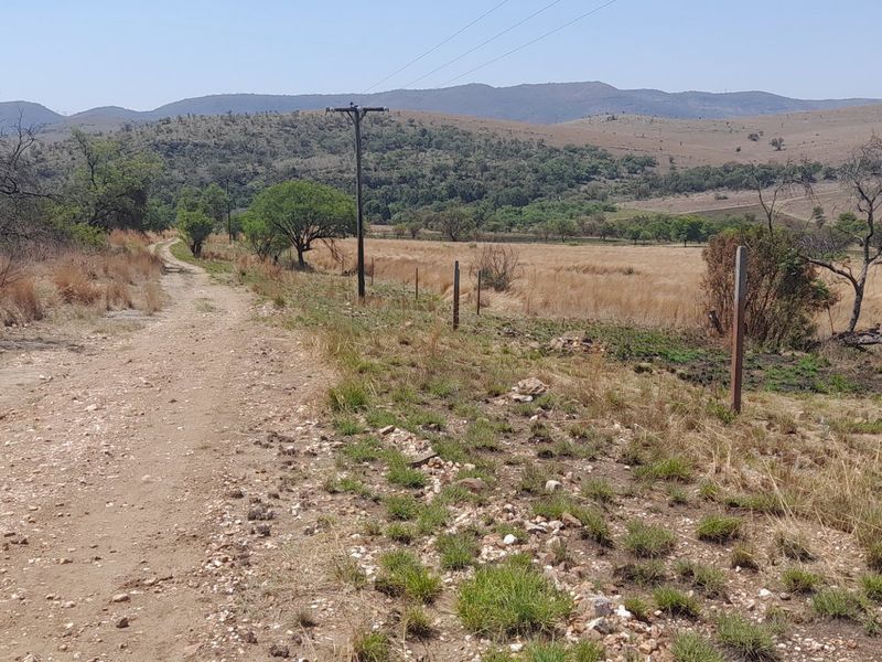 A scenic view of the farm landscape featuring a dirt access road, open grazing fields, and distant rolling hills.