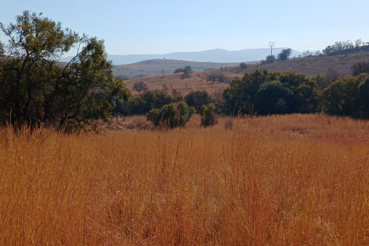 A scenic view of the expansive farm landscape featuring rolling hills, native grasses, and mature trees under a clear sky.