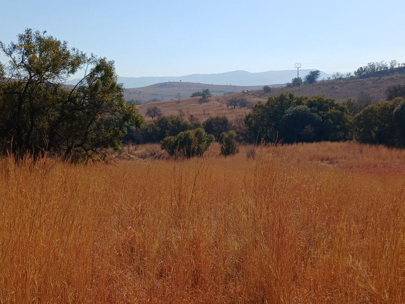 A scenic view of the expansive farm landscape featuring rolling hills, native grasses, and mature trees under a clear sky.