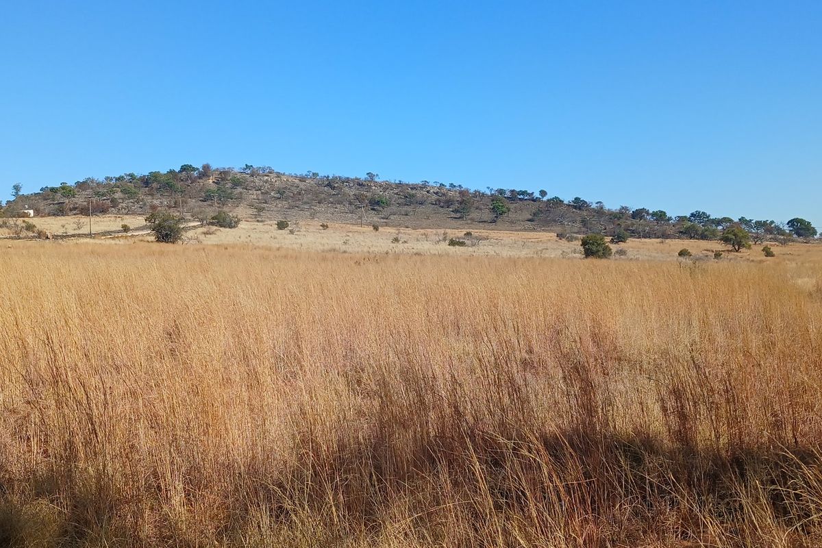 A wide-angle view of the expansive natural grassland and hillside landscape on the farm property.