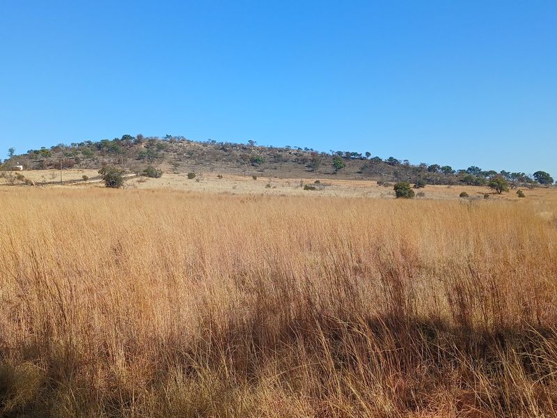 A wide-angle view of the expansive natural grassland and hillside landscape on the farm property.
