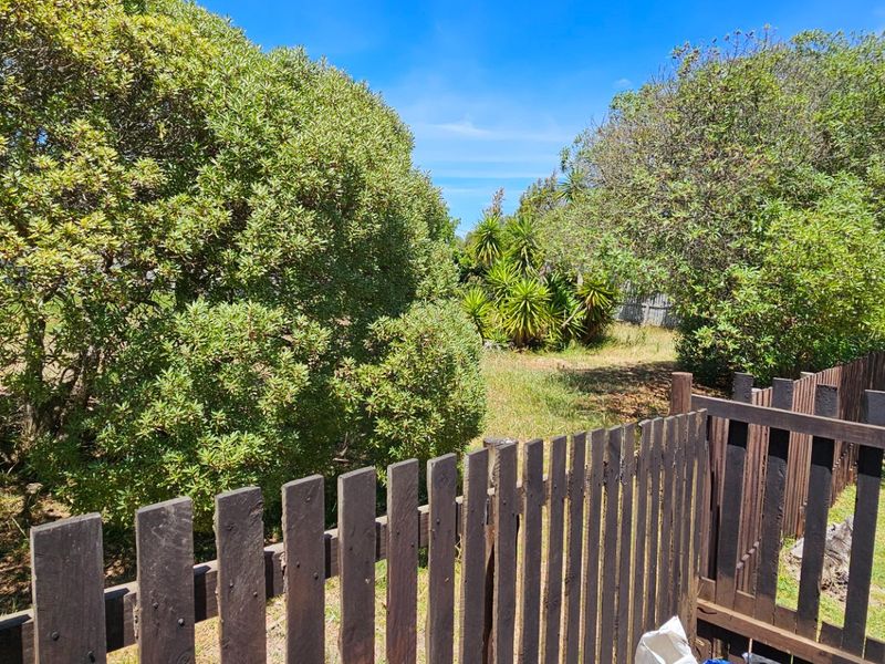 Investment at it's best - Photo 10