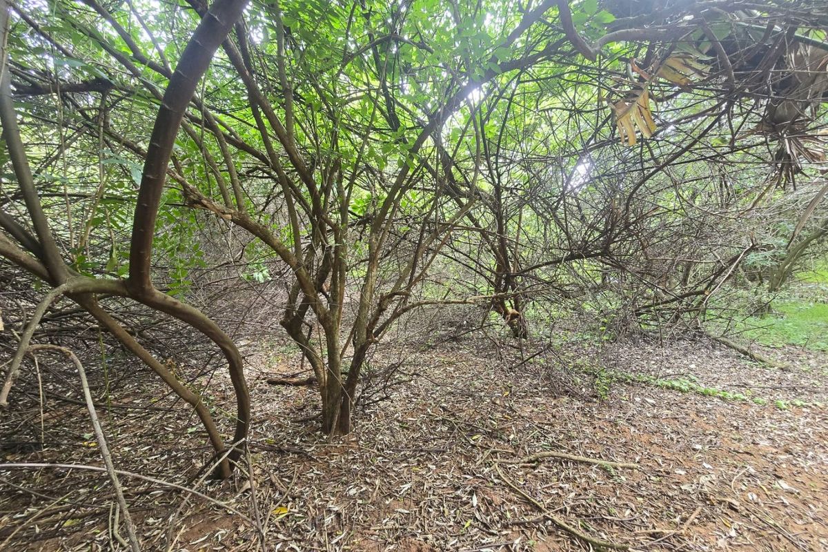 Premium Residential Land in a Nature-Rich Coastal Estate - Photo 4